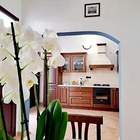 Anninnia Guest House B&B - Ghiiarza Ghilarza Esterno foto