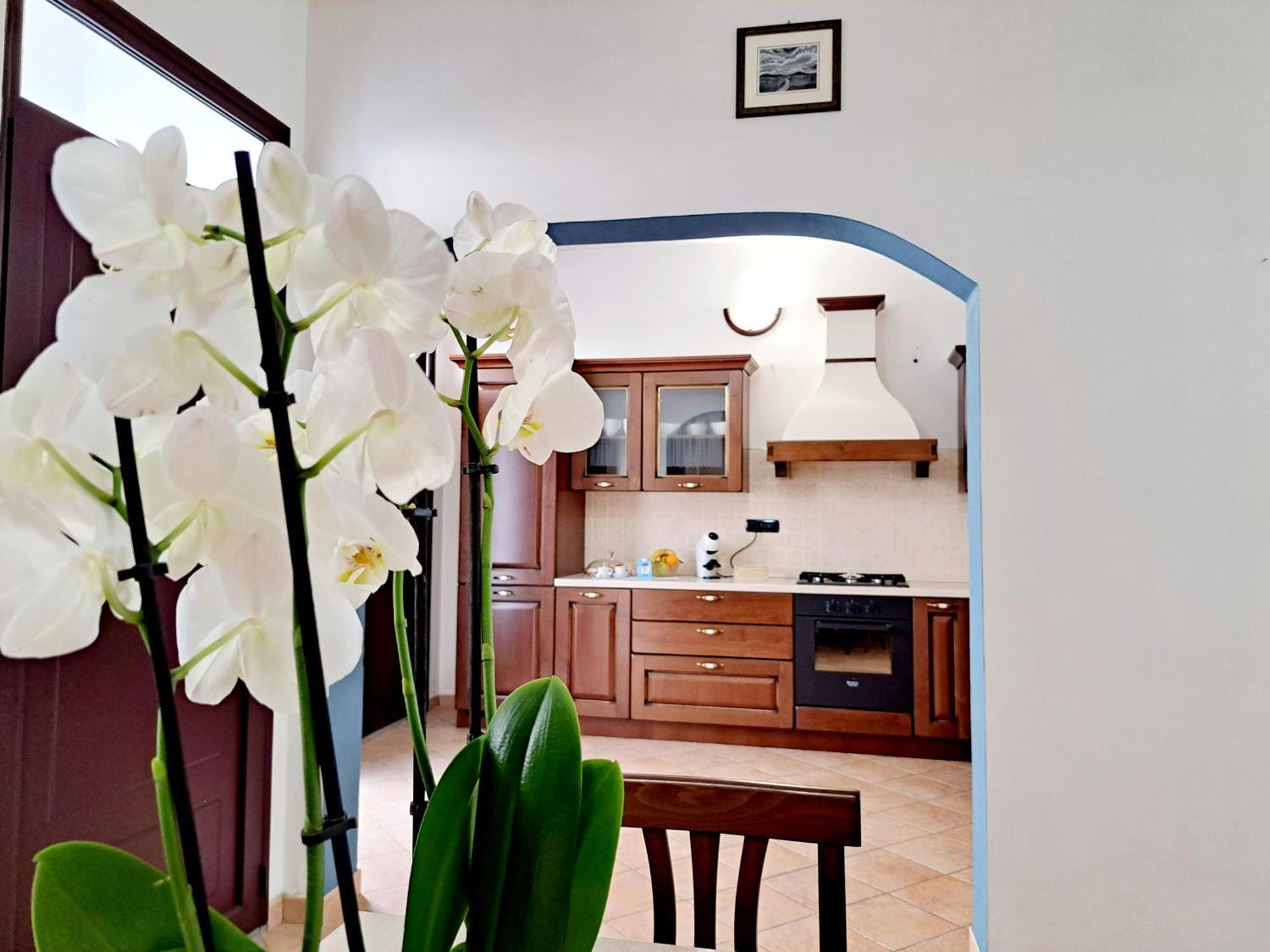 Holiday home Anninnia - Ghiiarza Ghilarza